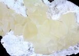 Calcite Crystals on Scolecite - India #39189-2